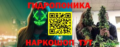стаф Анжеро-Судженск