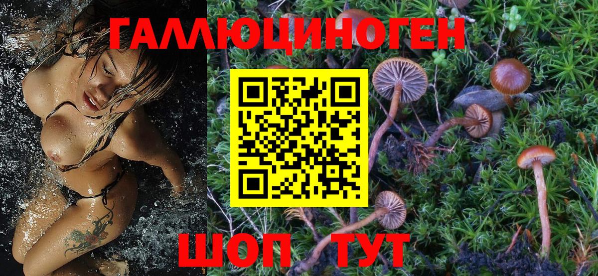 Псилоцибиновые грибы GOLDEN TEACHER Воткинск