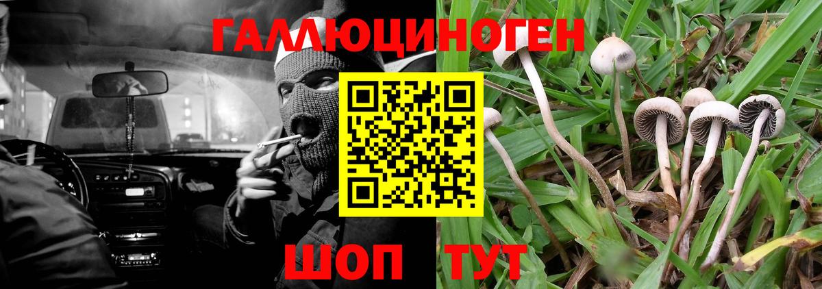купить  сайты  Вход с VPN  Воткинск  Псилоцибиновые грибы Magic Shrooms 